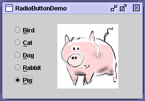 A snapshot of RadioButtonDemo